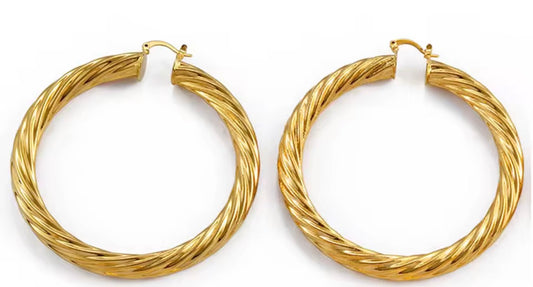 Stainless Steel fashion Earrings